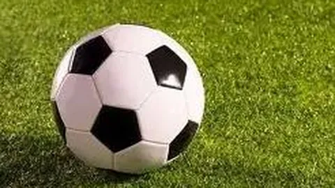 稳中求进态势下的中国经济韧性活力解读——7月经济运行概览